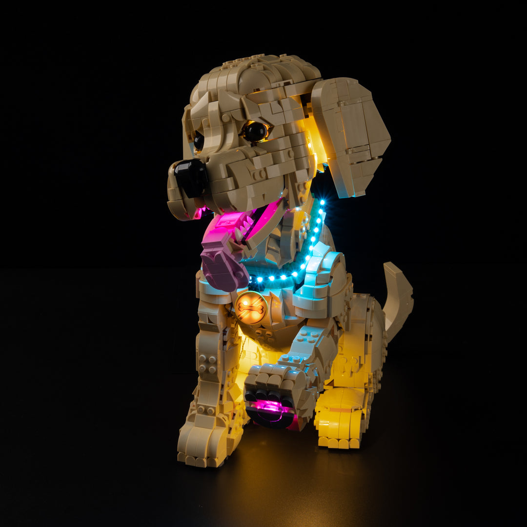 LEGO® Golden Retriever Puppy 11384 Light Kit