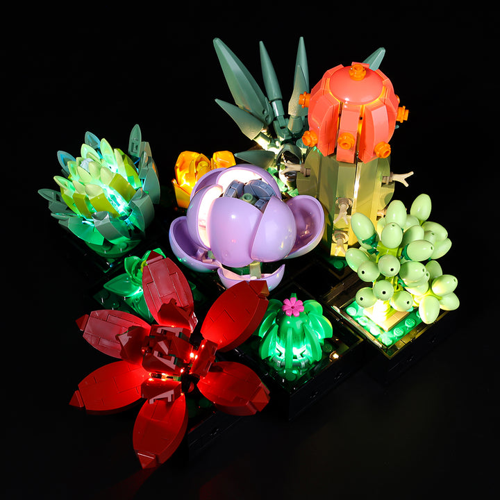Kit d'éclairage pour plantes succulentes 10309